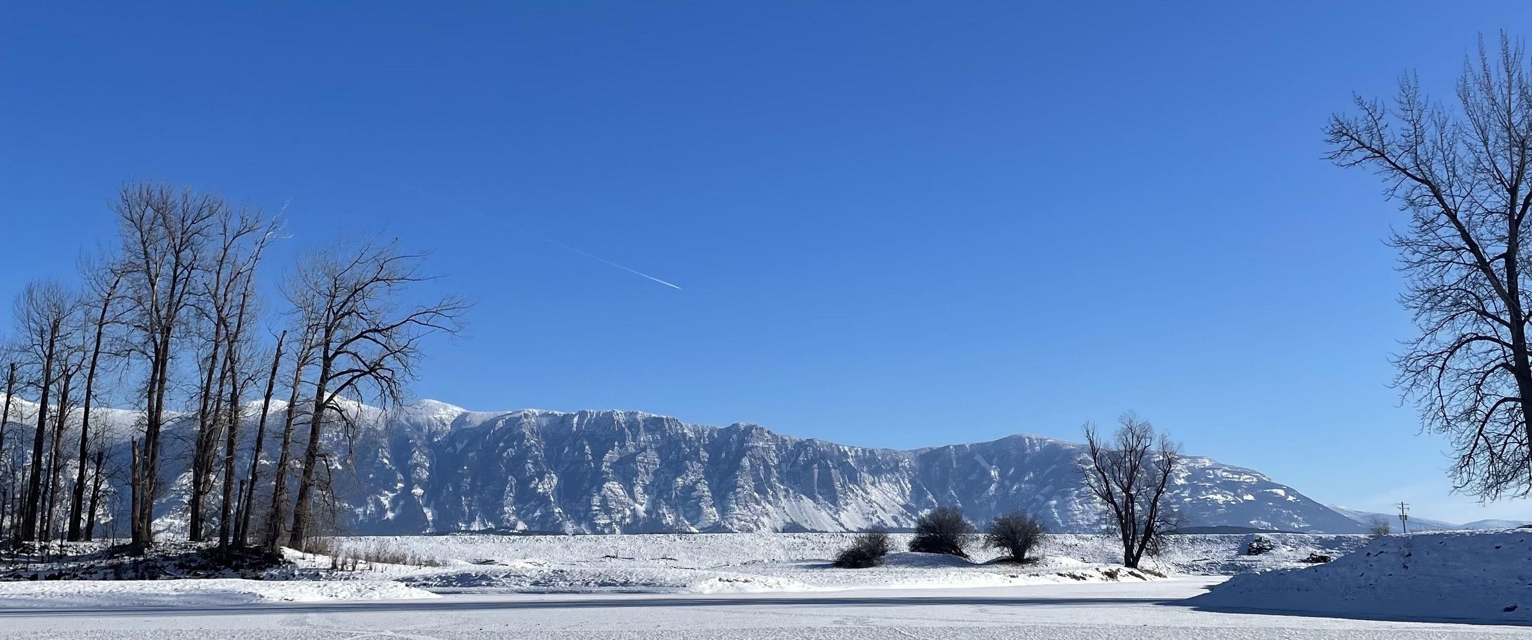 Winter Image K Koehoorn